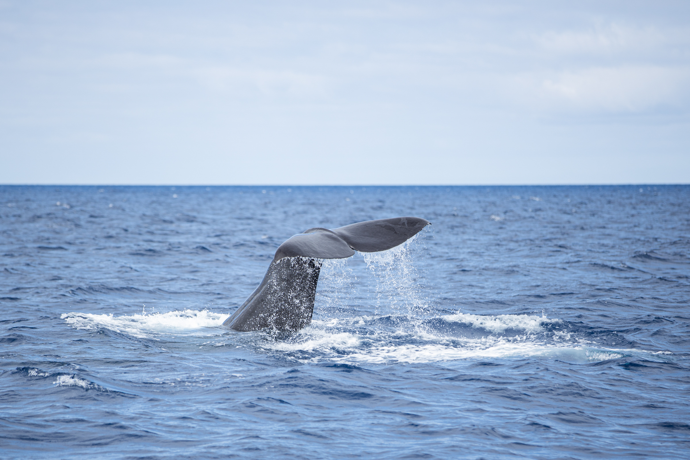 destination